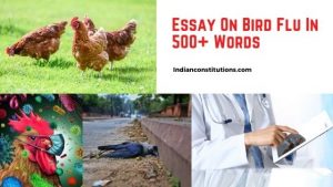 essay on topic bird flu