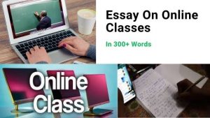 Online Classes Essay