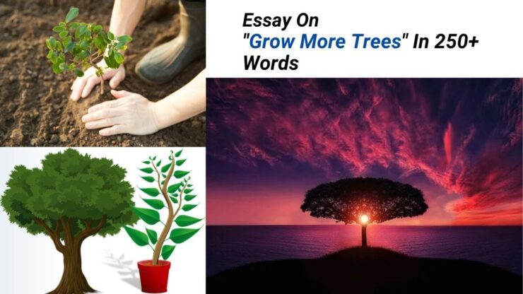 write an article on grow more trees