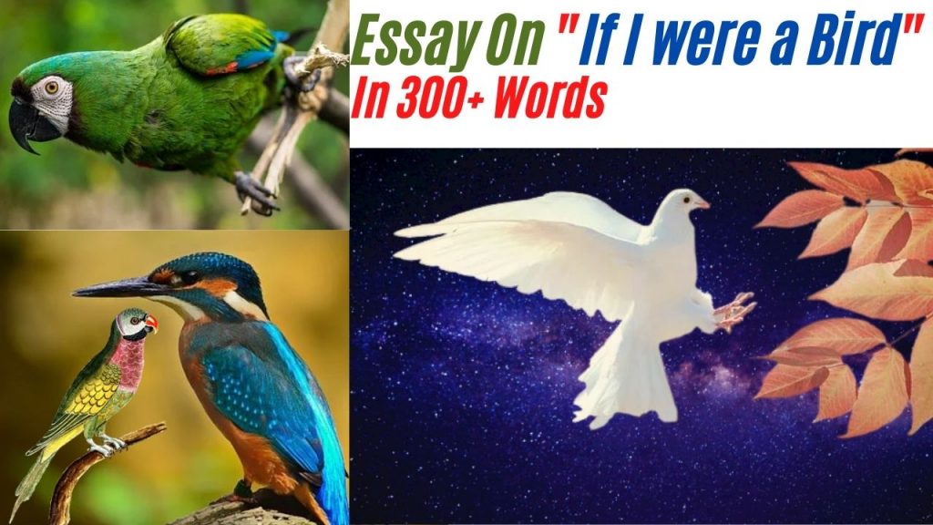 if i were a bird essay meaning