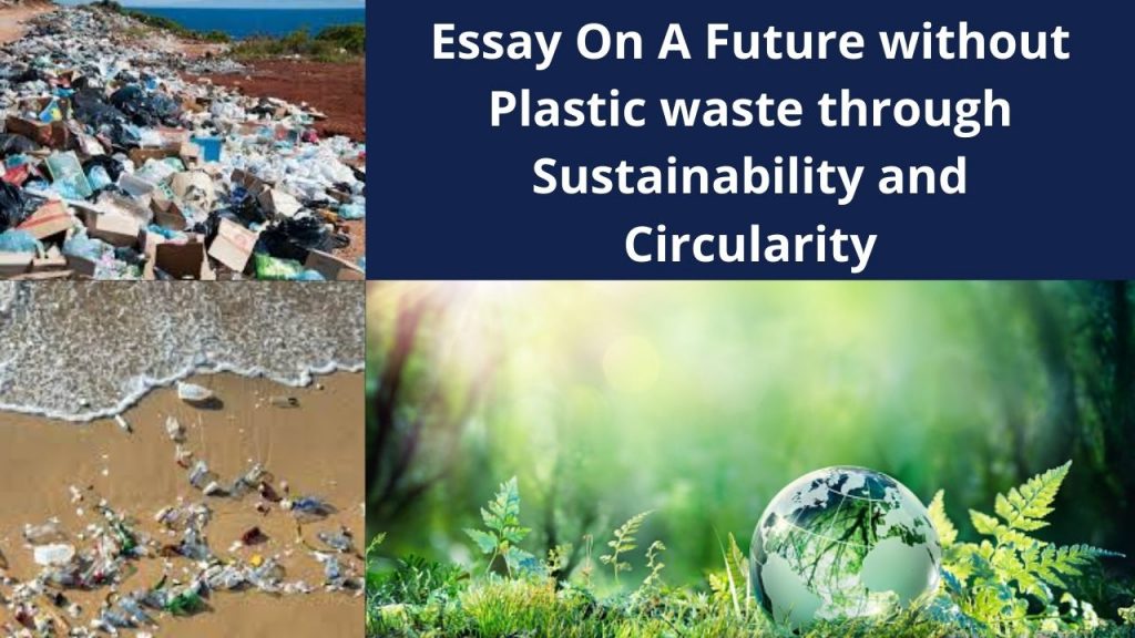 zero waste management essay