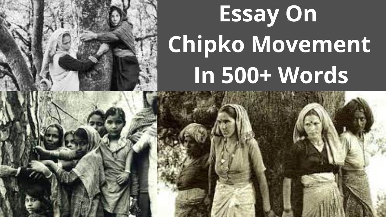 Essay On Chipko Movement In 500 Words Step By Step Guide