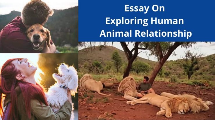 animal and human relationship essay