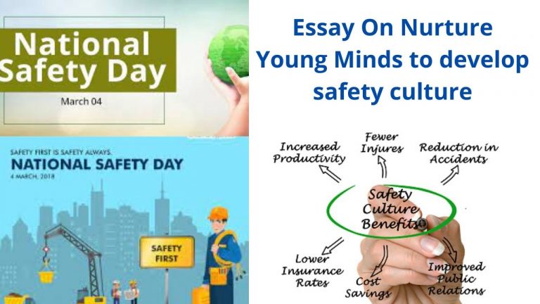 developing safety culture in daily life essay