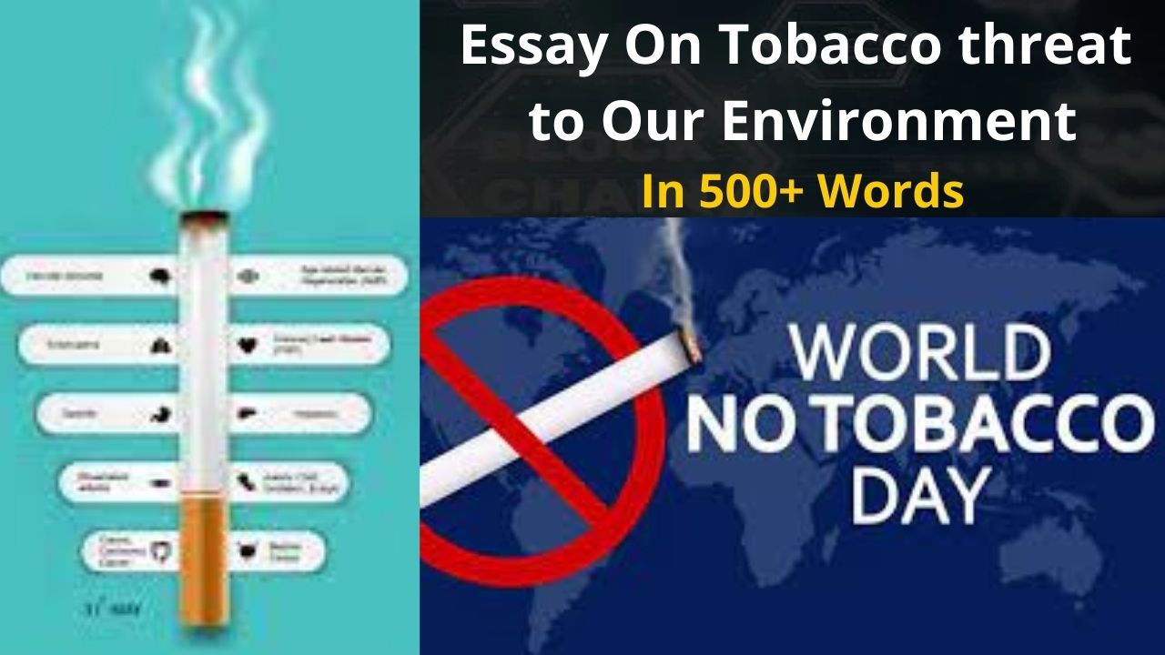 essay on tobacco threat to our environment