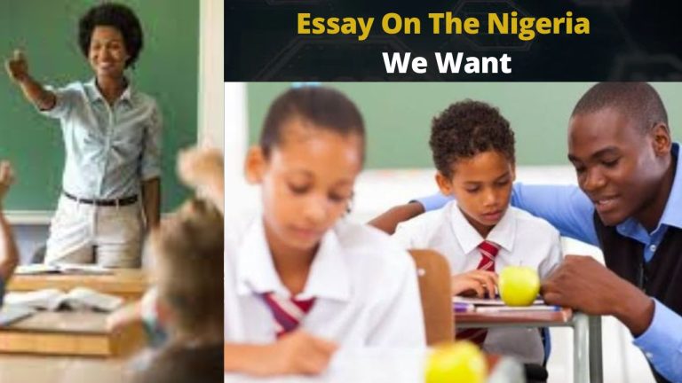 write an essay on the nigeria of my dream