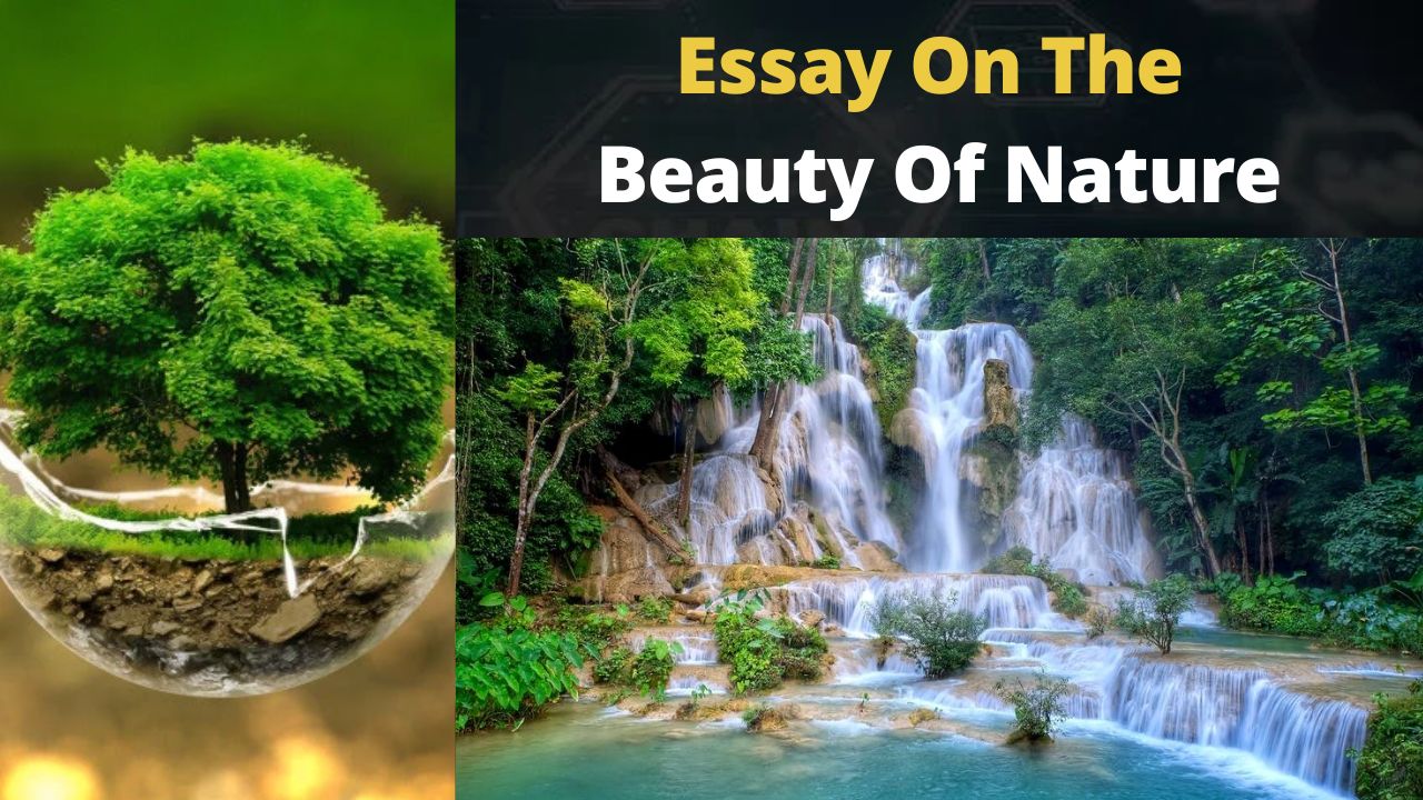 beauty of nature essay pdf